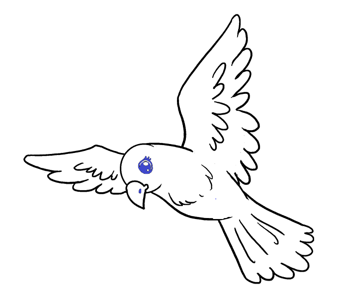 Hướng dẫn cách vẽ con chim siêu đơn giản và thật đẹp cho bé - Bước 10