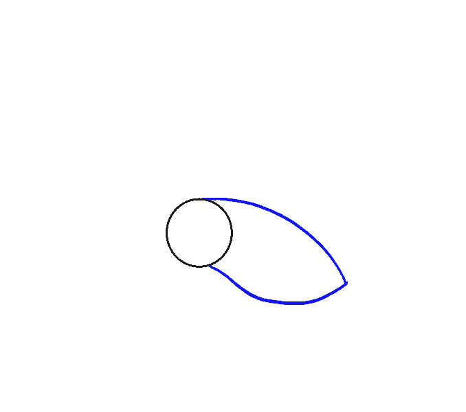 Hướng dẫn cách vẽ con chim siêu đơn giản và thật đẹp cho bé - Bước 2