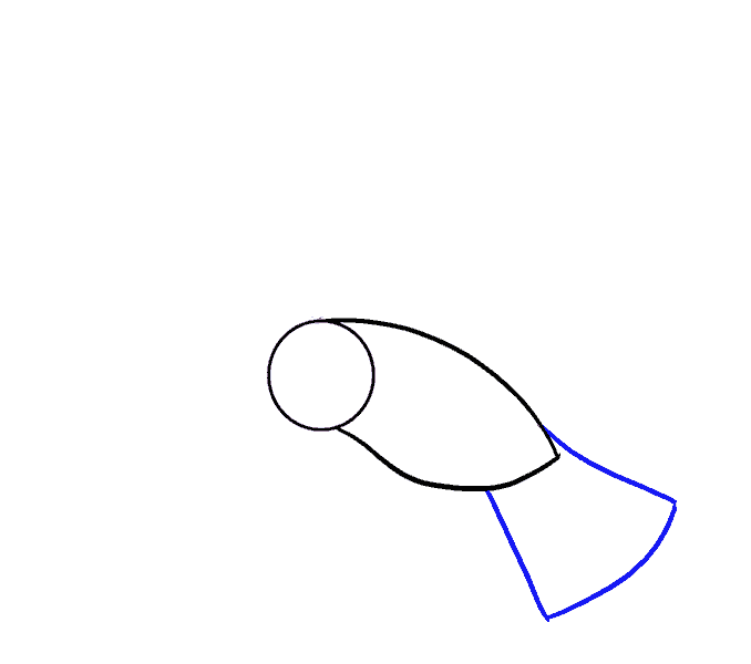 Hướng dẫn cách vẽ con chim siêu đơn giản và thật đẹp cho bé - Bước 3