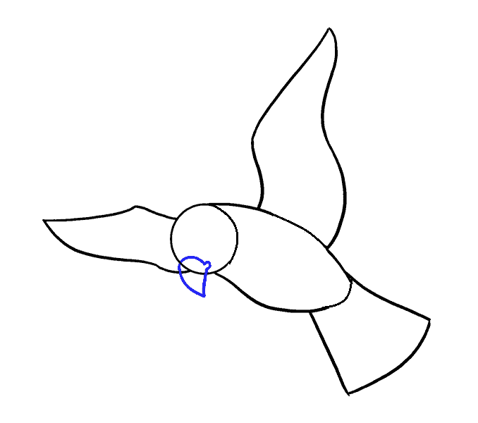 Hướng dẫn cách vẽ con chim siêu đơn giản và thật đẹp cho bé - Bước 5