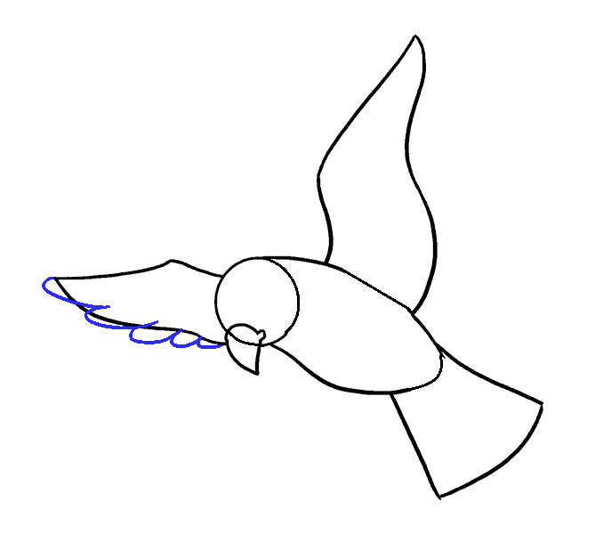 Hướng dẫn cách vẽ con chim siêu đơn giản và thật đẹp cho bé - Bước 6