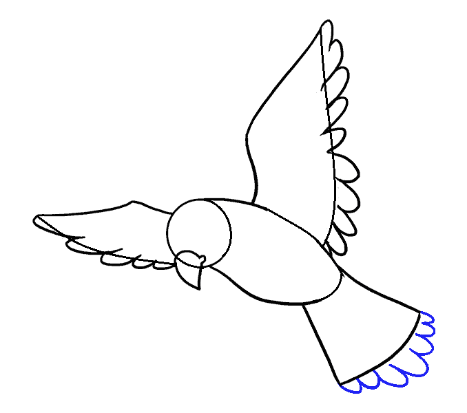 Hướng dẫn cách vẽ con chim siêu đơn giản và thật đẹp cho bé - Bước 7