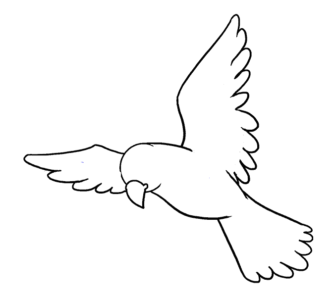 Hướng dẫn cách vẽ con chim siêu đơn giản và thật đẹp cho bé - Bước 8