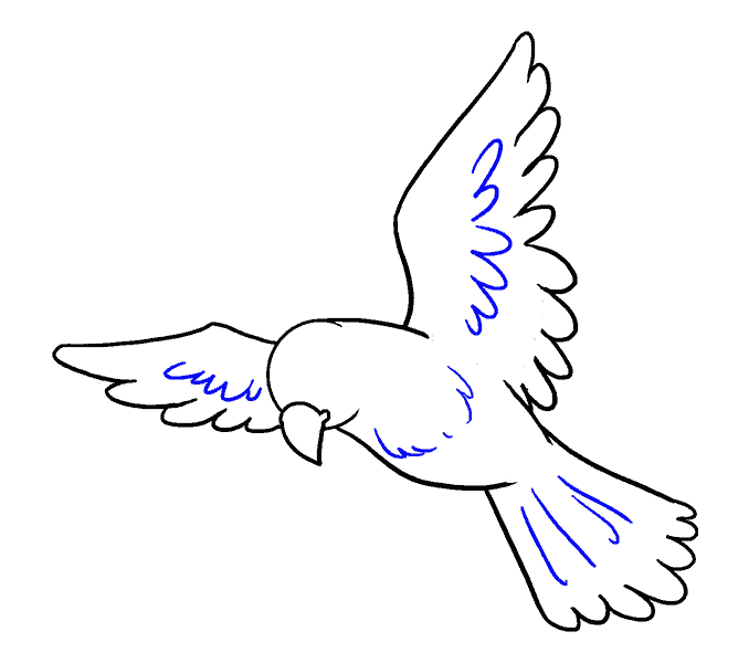 Hướng dẫn cách vẽ con chim siêu đơn giản và thật đẹp cho bé - Bước 9