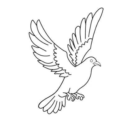 Hướng dẫn vẽ chim bồ câu