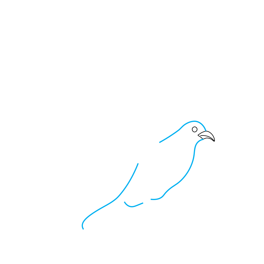 Hướng dẫn vẽ chim bồ câu - Bước 2