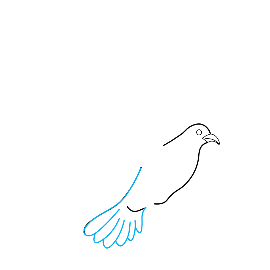 Hướng dẫn vẽ chim bồ câu - Bước 3