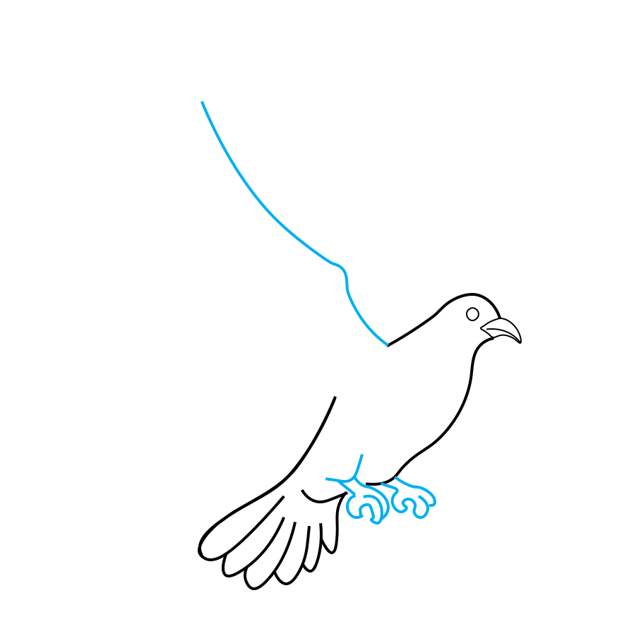 Hướng dẫn vẽ chim bồ câu - Bước 4