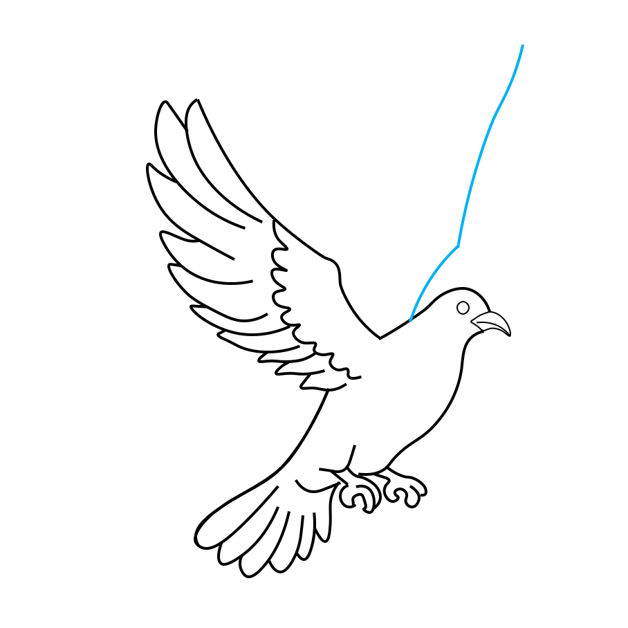 Hướng dẫn vẽ chim bồ câu - Bước 6