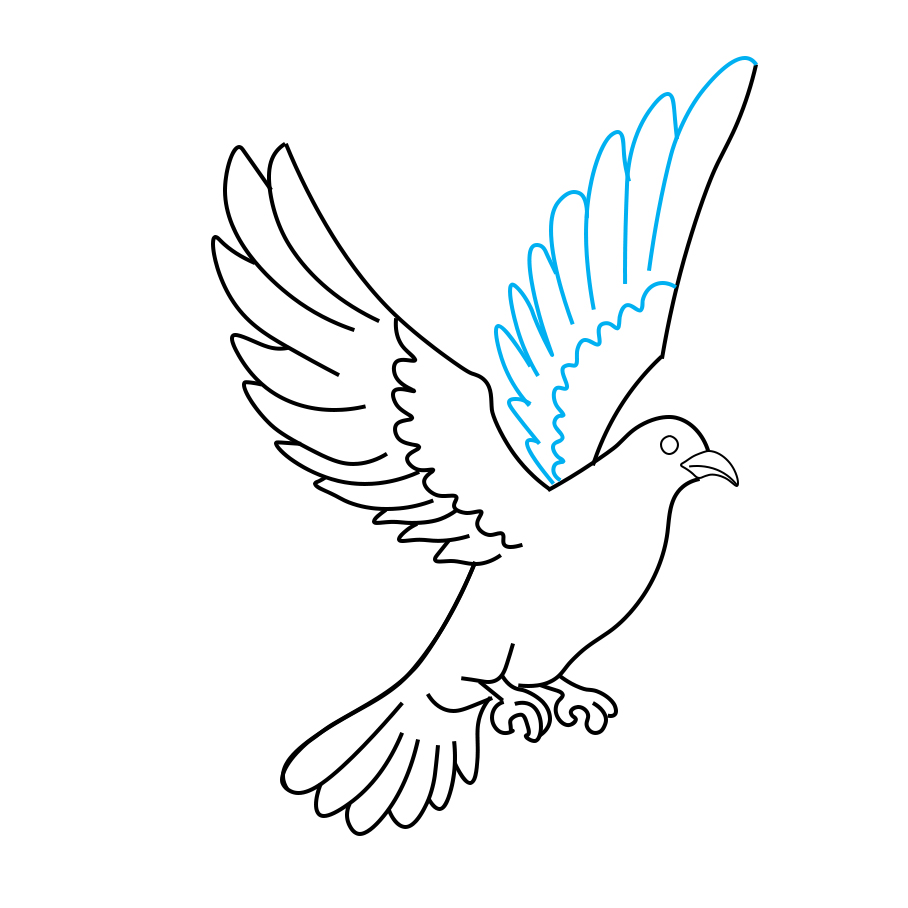 Hướng dẫn vẽ chim bồ câu - Bước 7