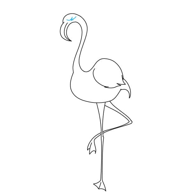 Hướng dẫn vẽ con chim hồng hạc xinh đẹp - Bước 7