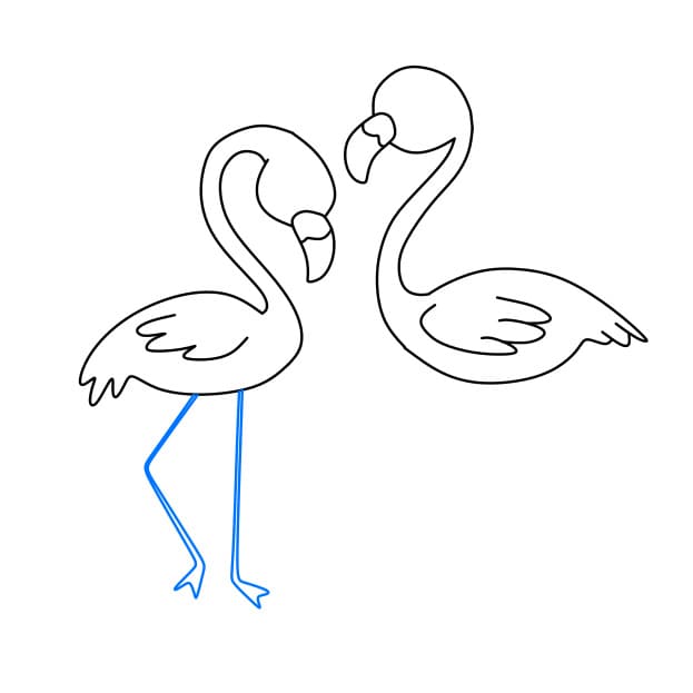 Hướng dẫn vẽ cặp đôi chim hồng hạc - Bước 6