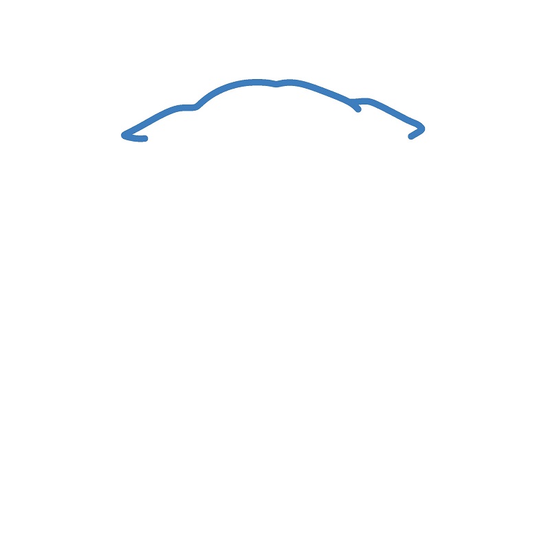 Hướng dẫn vẽ đầu của con chó con. - Bước 1