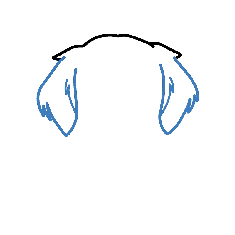 Hướng dẫn vẽ đầu của con chó con. - Bước 2