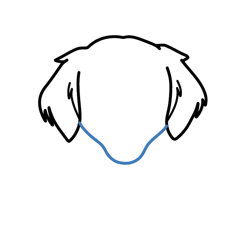 Hướng dẫn vẽ đầu của con chó con. - Bước 3