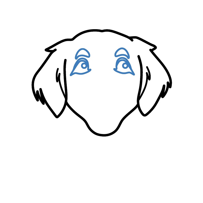 Hướng dẫn vẽ đầu của con chó con. - Bước 4