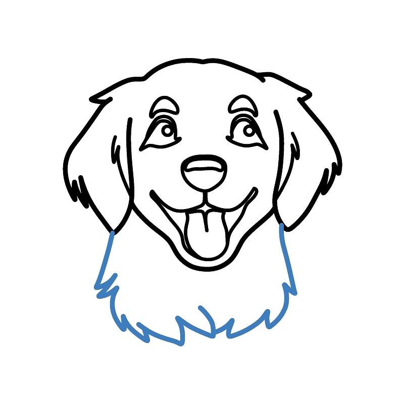 Hướng dẫn vẽ đầu của con chó con. - Bước 7