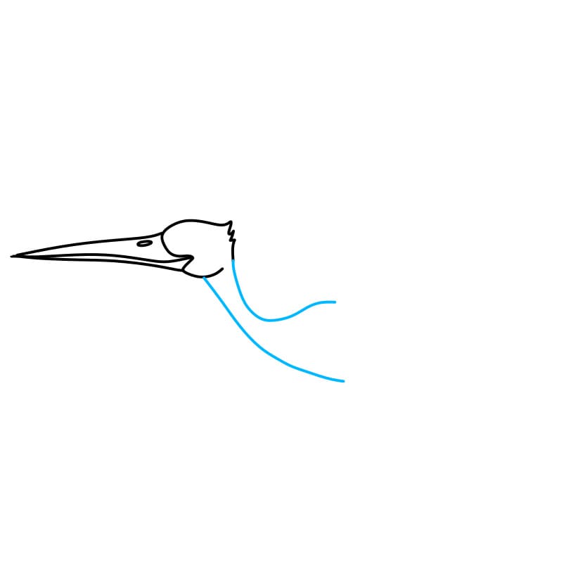 Hướng dẫn cách vẽ con cò đẹp và đơn giản cho bé - Bước 3