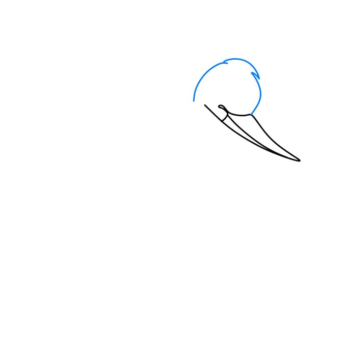 Hướng dẫn cách vẽ con cò chi tiết từng bước cho bé - Bước 2