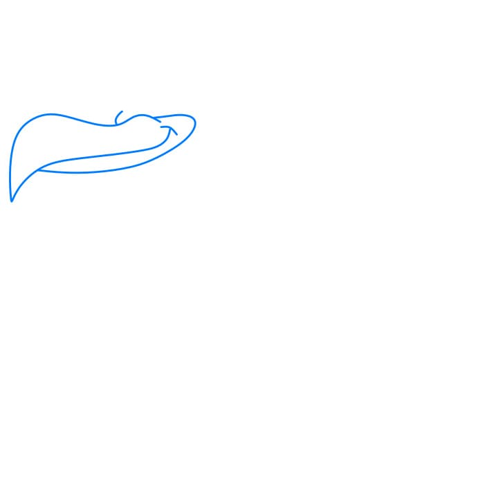 Hướng dẫn cách vẽ con cò đang đội mũ - Bước 1