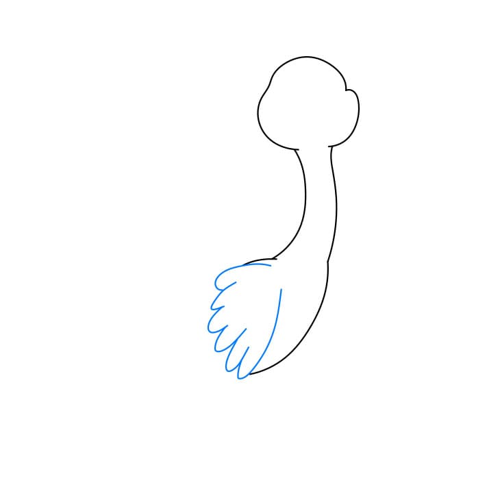 Hướng dẫn vẽ con công đơn giản và đẹp cho bé - Bước 4