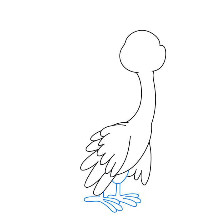 Hướng dẫn vẽ con công đơn giản và đẹp cho bé - Bước 5