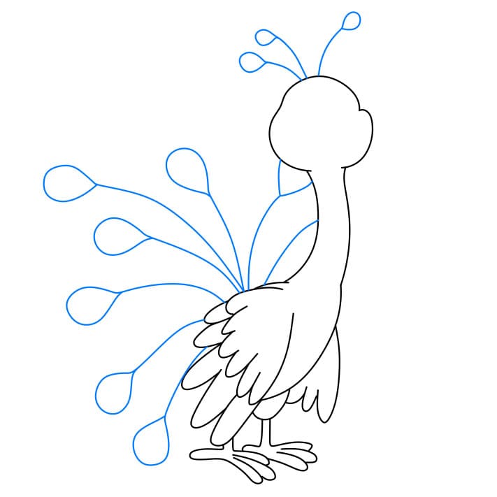 Hướng dẫn vẽ con công đơn giản và đẹp cho bé - Bước 6