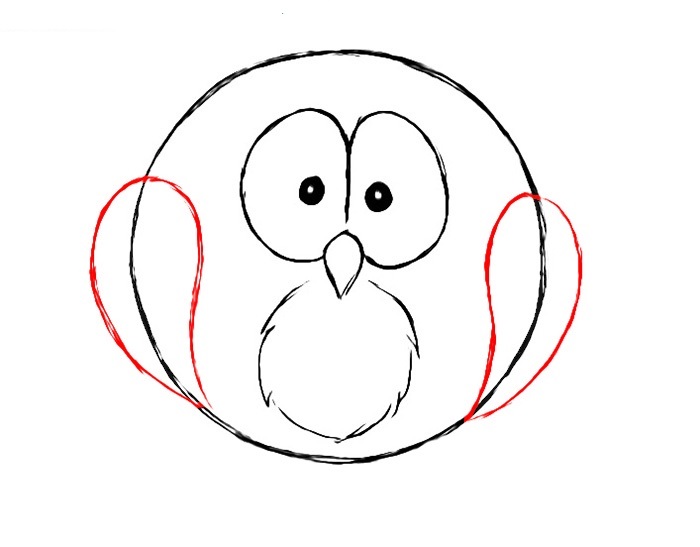 Hướng dẫn cách vẽ con cú đáng yêu và đẹp cho bé - Bước 3