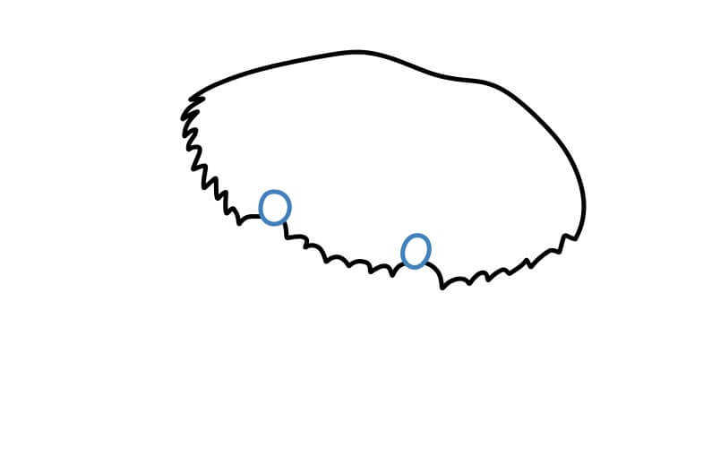 Hướng dẫn vẽ một con cua chân thực. - Bước 3