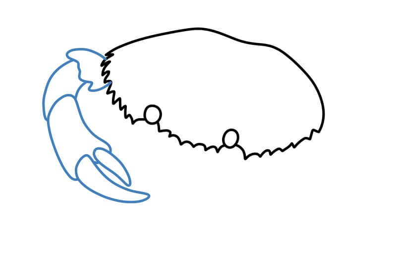 Hướng dẫn vẽ một con cua chân thực. - Bước 4