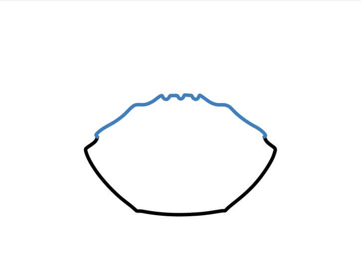 Hướng dẫn vẽ một con cua cơ bản. - Bước 2