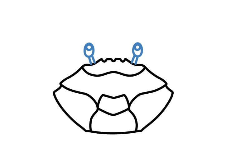 Hướng dẫn vẽ một con cua cơ bản. - Bước 5