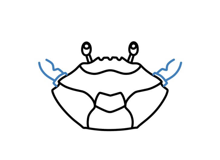 Hướng dẫn vẽ một con cua cơ bản. - Bước 6