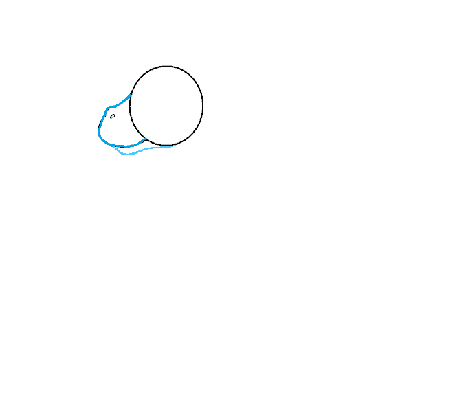 Hướng dẫn cách vẽ con dê đơn giản cho bé - Bước 2