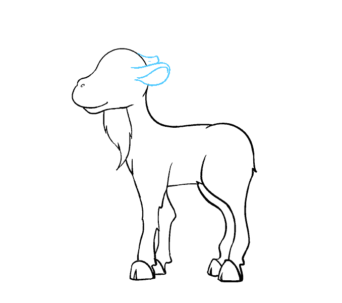 Hướng dẫn cách vẽ con dê đơn giản cho bé - Bước 7