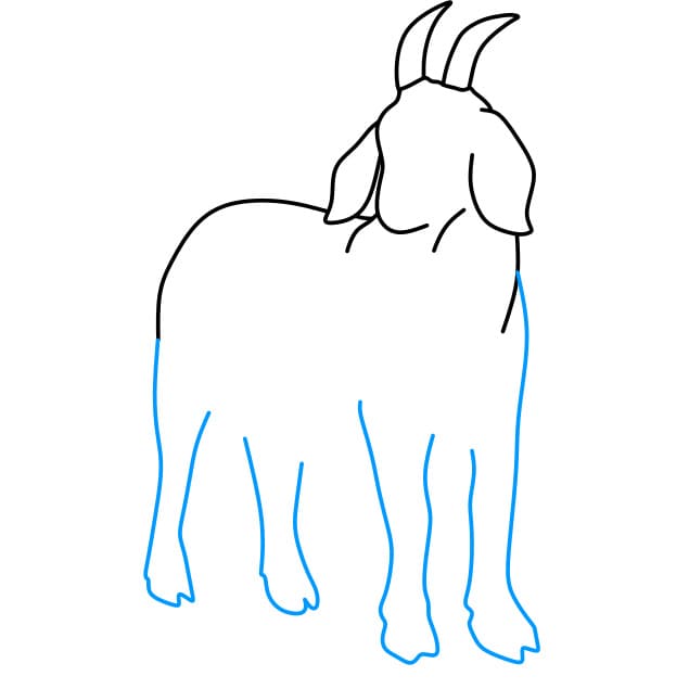Hướng dẫn vẽ chú dê đơn giản - Bước 6