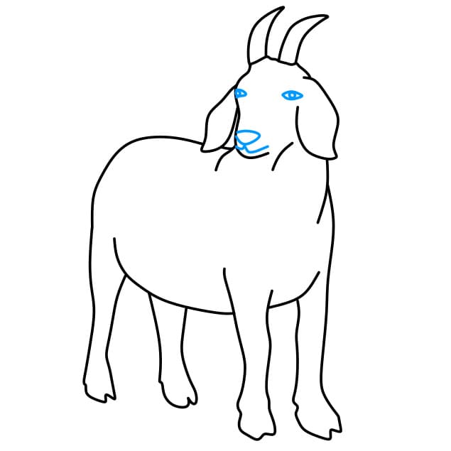 Hướng dẫn vẽ chú dê đơn giản - Bước 8