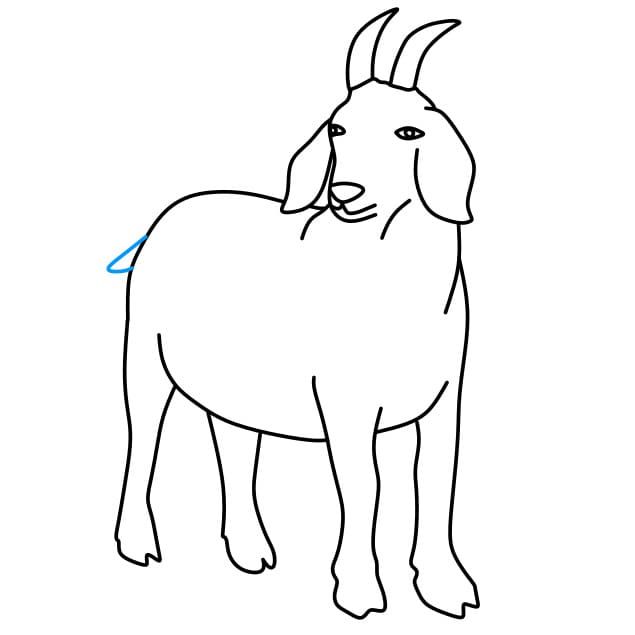 Hướng dẫn vẽ chú dê đơn giản - Bước 9