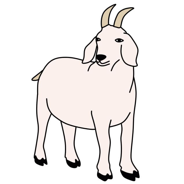 Hướng dẫn vẽ chú dê đơn giản