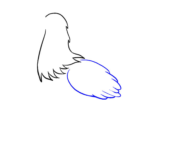 Hướng dẫn cách vẽ con gà mái đơn giản cho bé - Bước 2