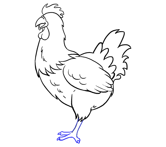 Hướng dẫn cách vẽ con gà mái đơn giản cho bé - Bước 8