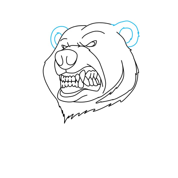 Hướng dẫn cách vẽ chú gấu hung dữ - Bước 5