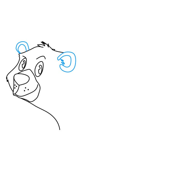 Hướng dẫn cách vẽ chú gấu vui tính và đáng yêu cho bé - Bước 3