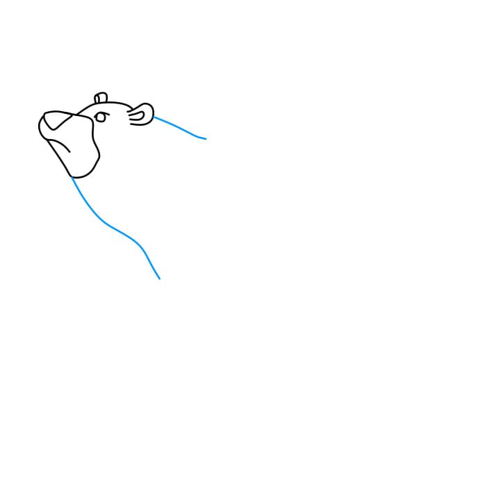 Hướng dẫn cách vẽ chú gấu đang đánh hơi có mùi thức ăn của nó - Bước 3