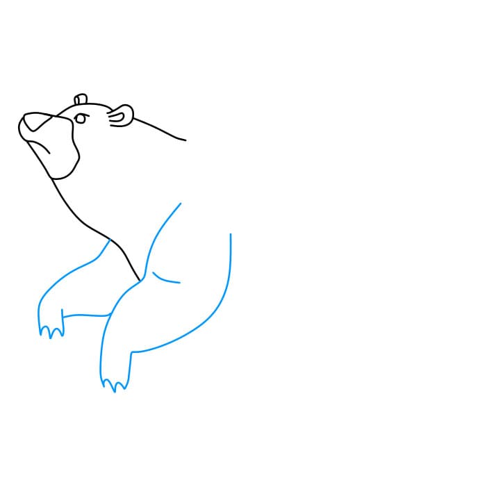 Hướng dẫn cách vẽ chú gấu đang đánh hơi có mùi thức ăn của nó - Bước 4