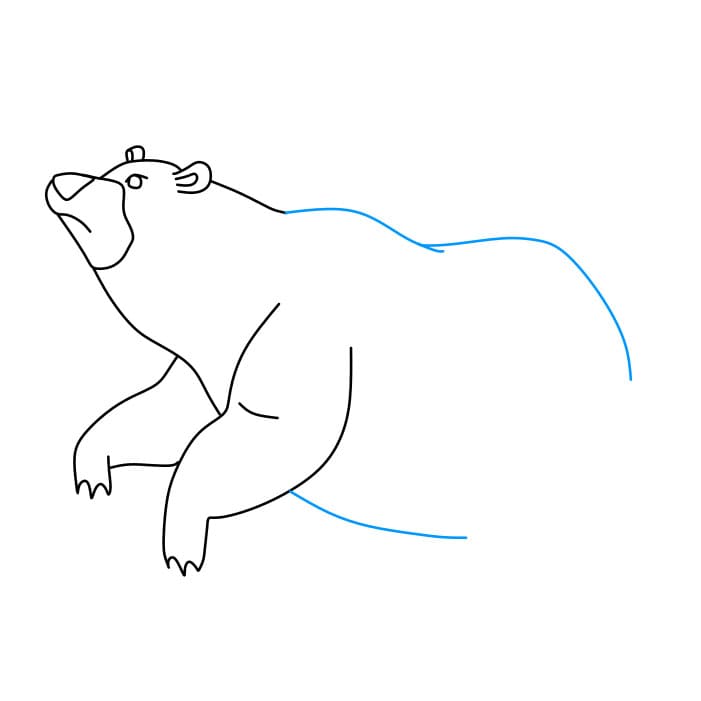 Hướng dẫn cách vẽ chú gấu đang đánh hơi có mùi thức ăn của nó - Bước 5