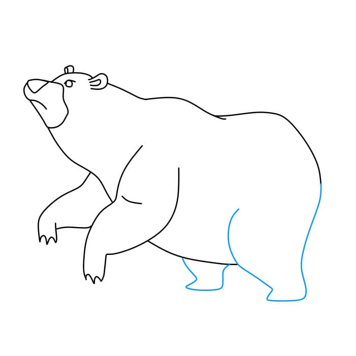 Hướng dẫn cách vẽ chú gấu đang đánh hơi có mùi thức ăn của nó - Bước 6