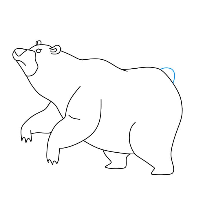 Hướng dẫn cách vẽ chú gấu đang đánh hơi có mùi thức ăn của nó - Bước 7