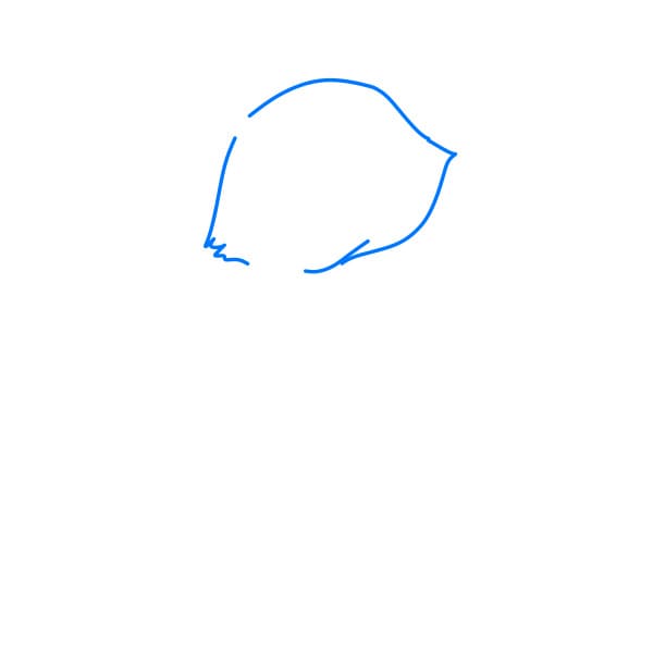 Hướng dẫn vẽ con gấu mèo đơn giản và đẹp cho bé - Bước 1