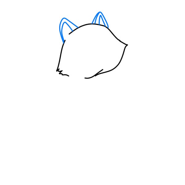 Hướng dẫn vẽ con gấu mèo đơn giản và đẹp cho bé - Bước 2